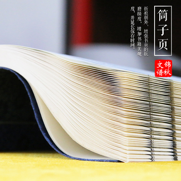 福建漳浦竹嶼張氏家譜筒子頁