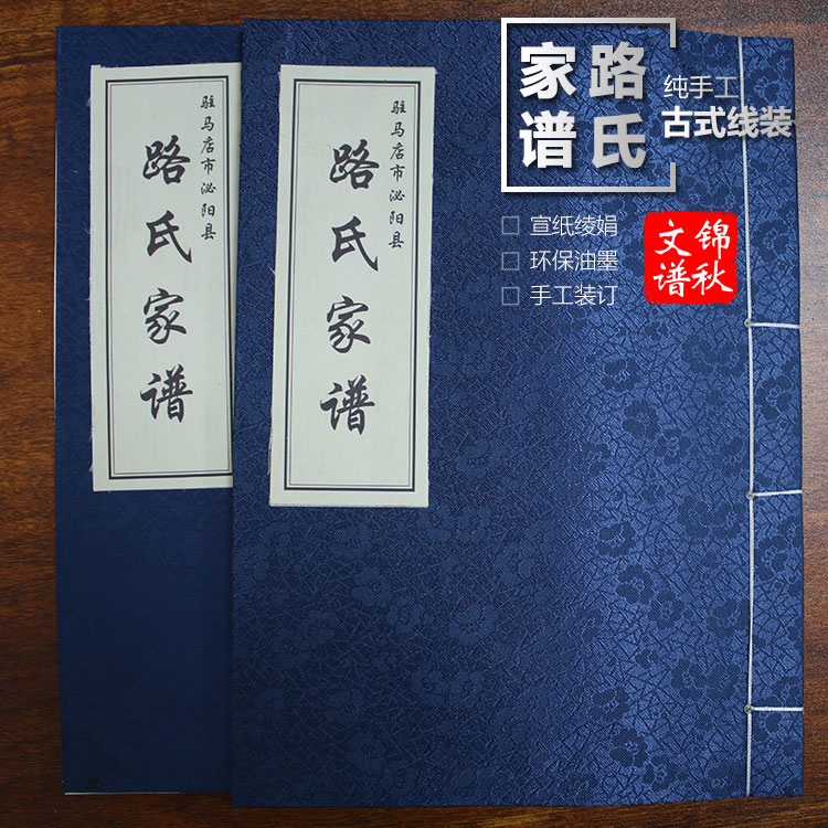 駐馬店泌陽(yáng)縣路氏家譜樣本綾絹封面