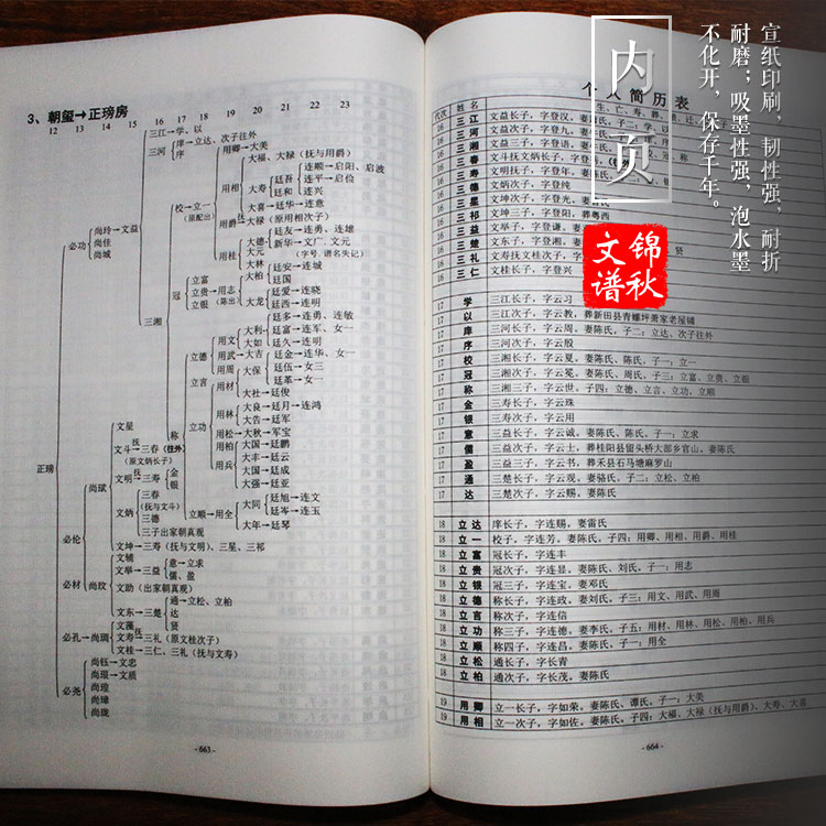 戴氏族譜格式現(xiàn)代蘇氏(圖文對照，圖文均橫排)