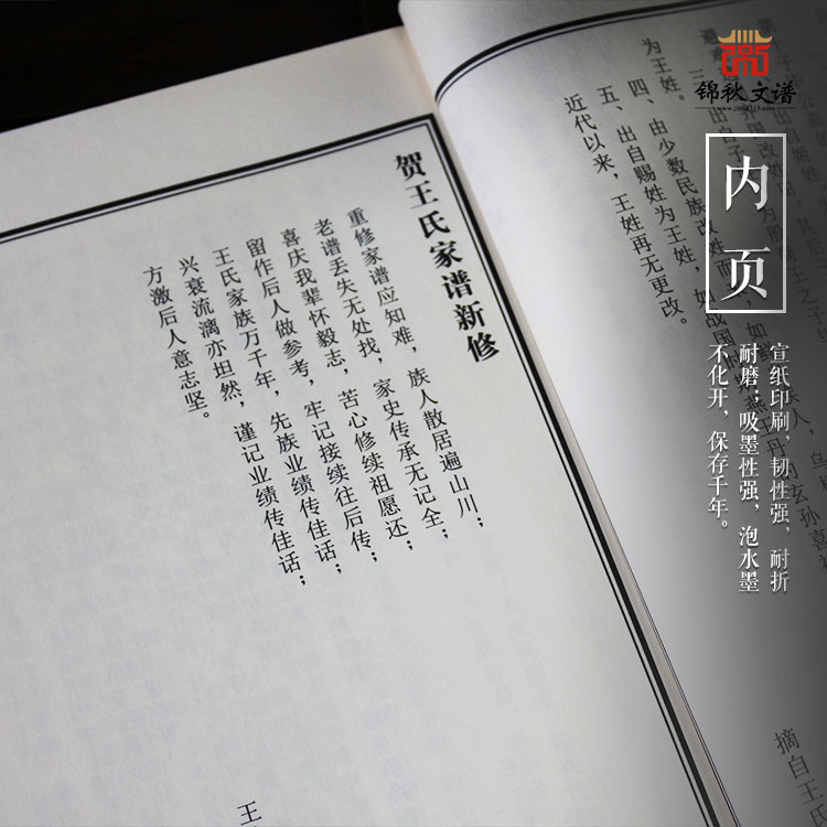 王氏族譜內頁