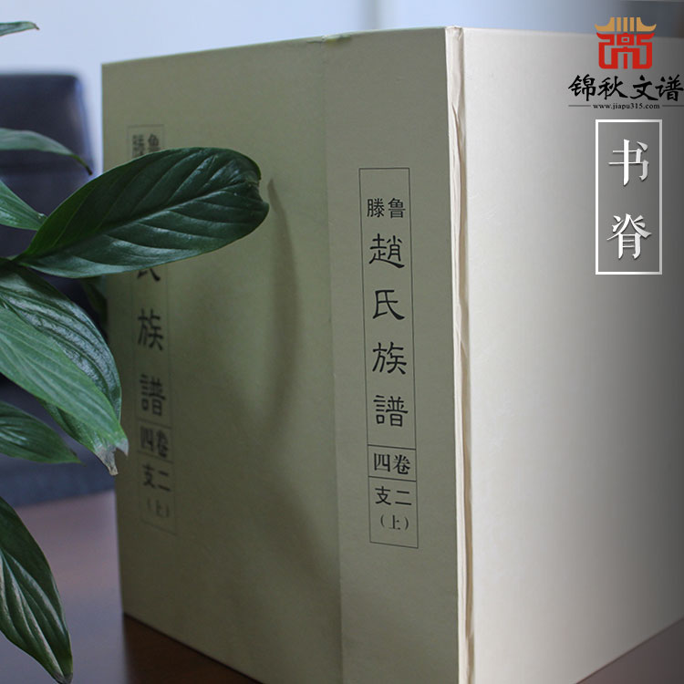 滕魯《趙氏族譜》書(shū)脊