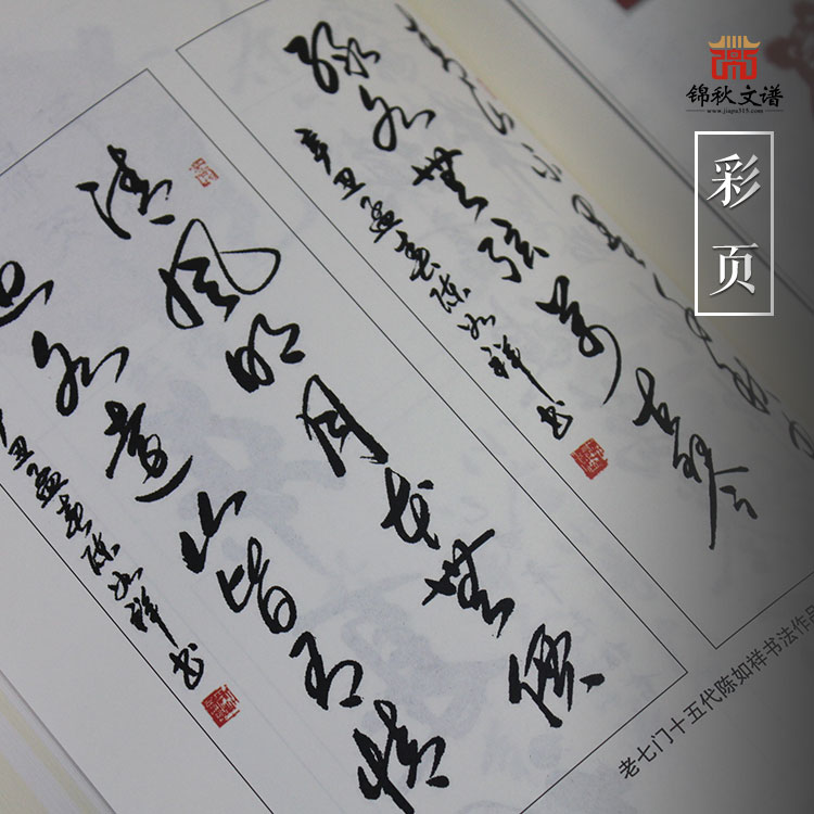 陳氏族譜彩頁(yè)2