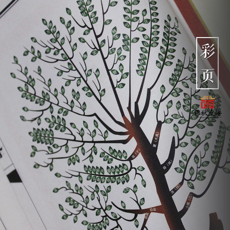 盧氏家譜彩頁(yè)