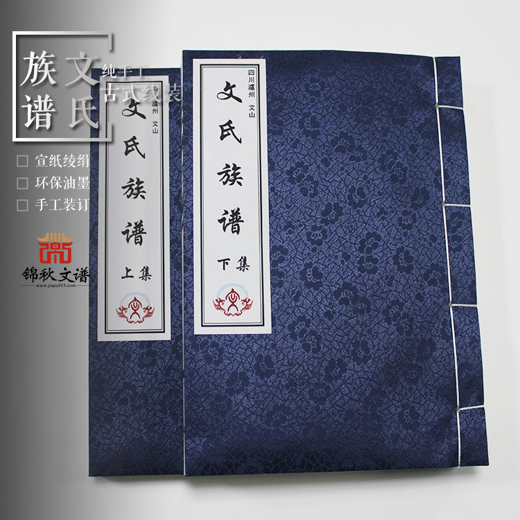 文氏族譜封面