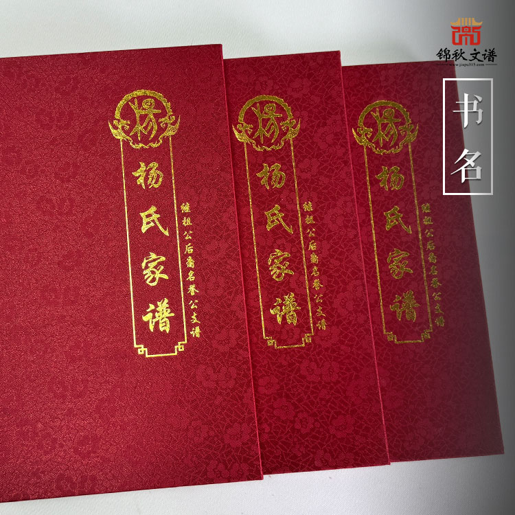 貴州六盤水《楊氏家譜》：本書為畢節(jié)楊家灣繼祖公系列名譽(yù)祖支系以之芳祖后代為主的楊氏支譜