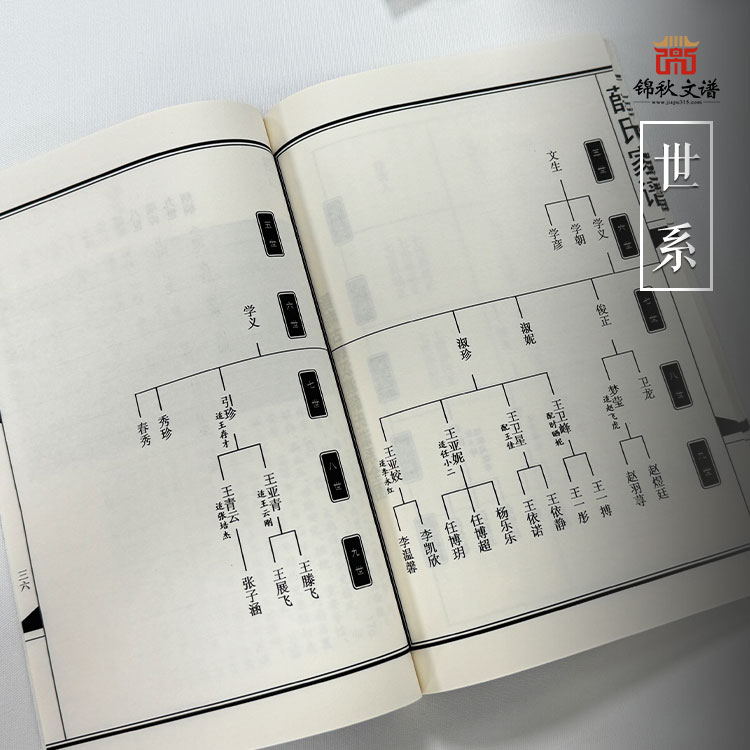 薛氏家譜世系1