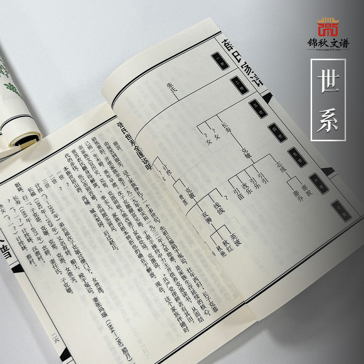 薛氏家譜世系2