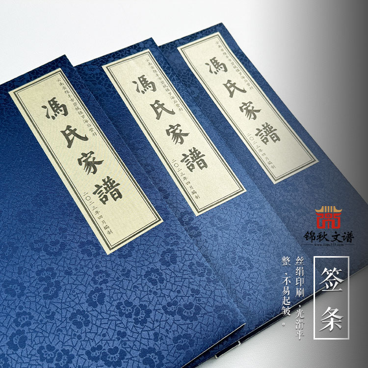 云南省文山州丘北縣樹皮鄉(xiāng)矣得村委會啊額村《馮氏家譜》