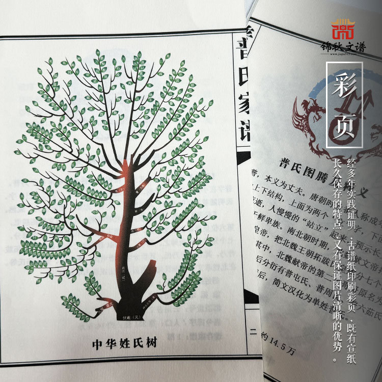 普氏家譜彩頁