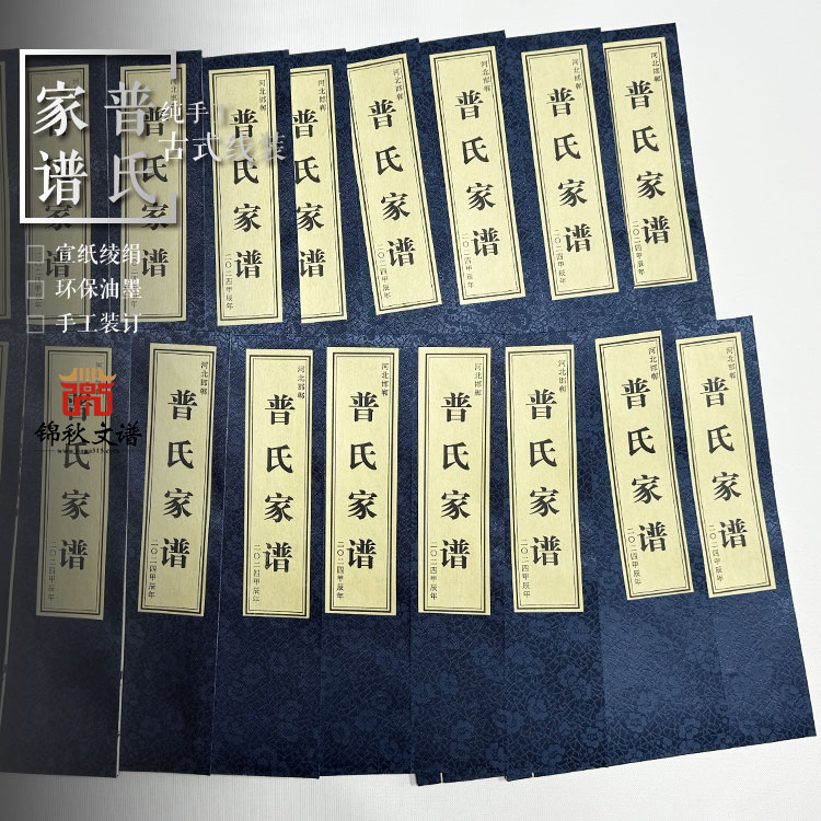 普氏家譜封面