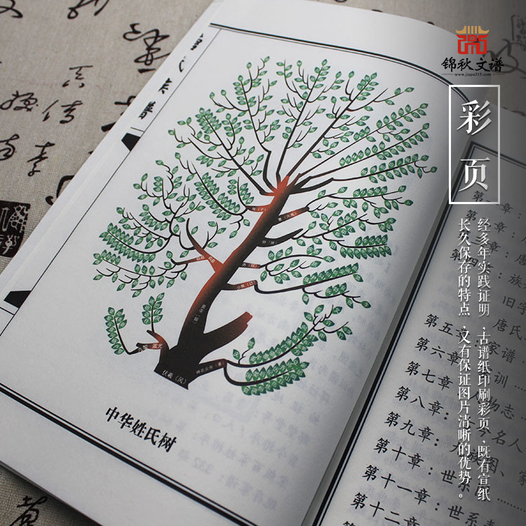 唐氏族譜彩頁