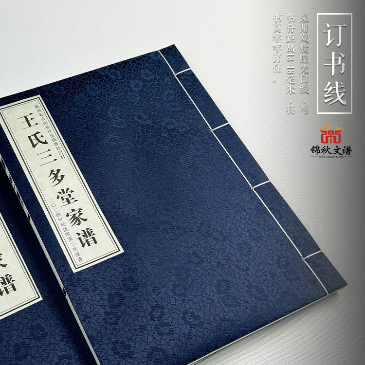 王氏家譜訂書(shū)線