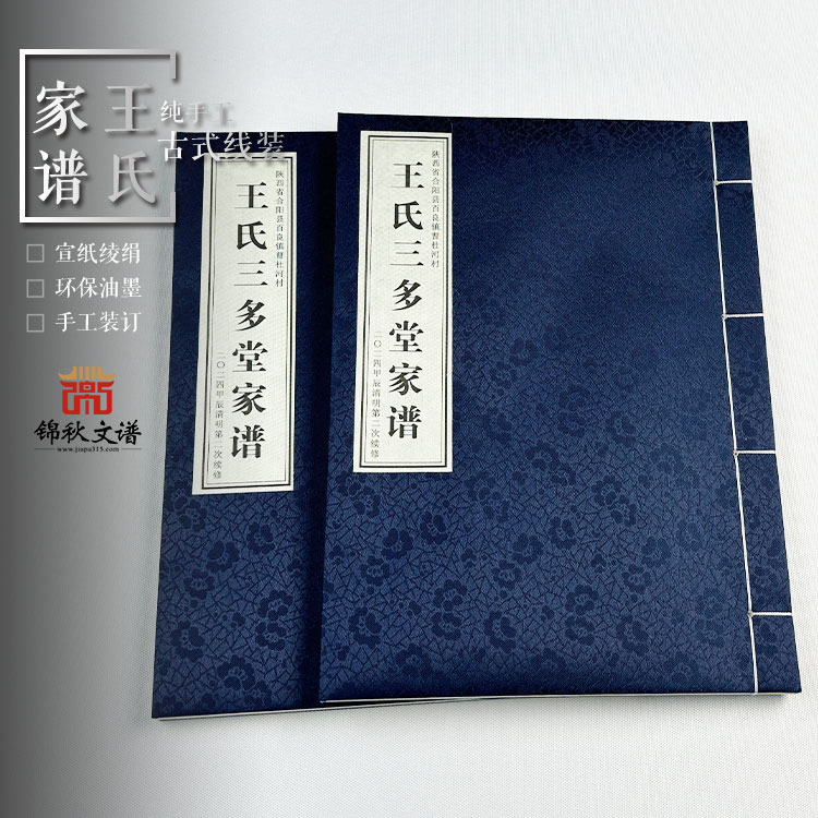王氏家譜封面
