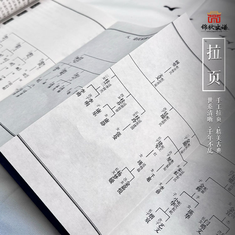 金氏家譜拉頁