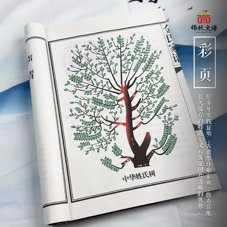 金氏家譜彩頁